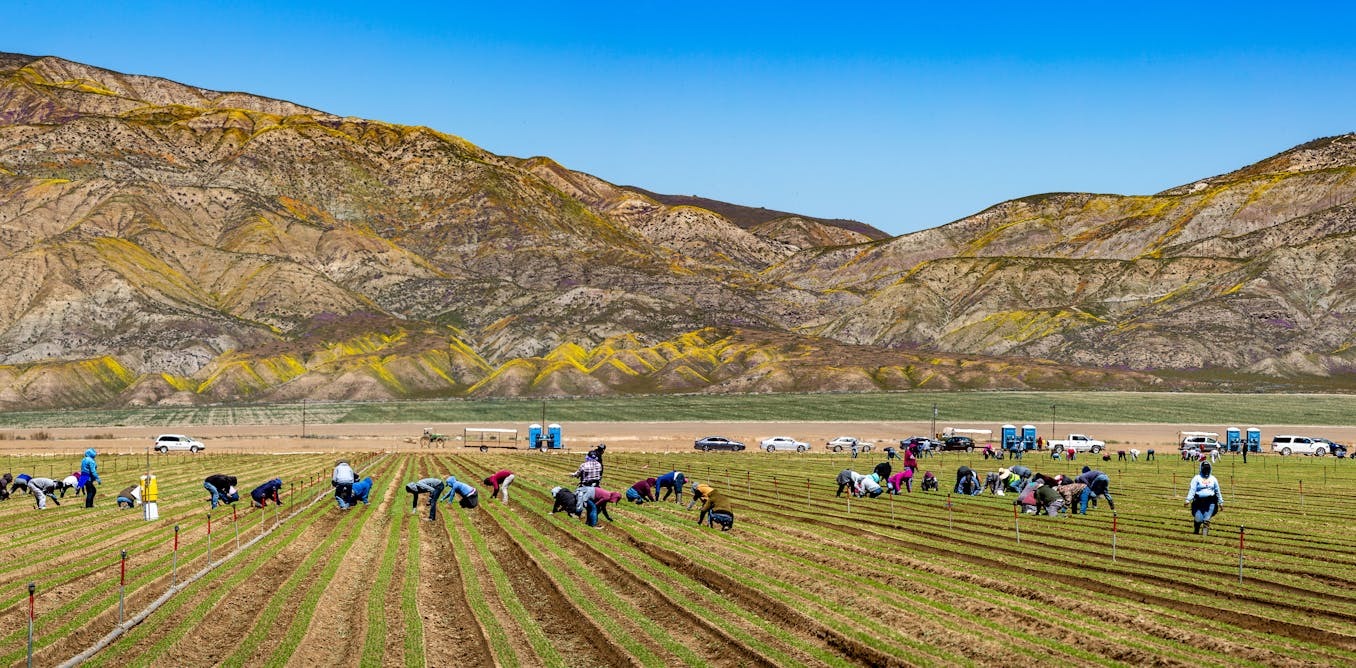 Hotter and drier climate in Colorado's San Luis Valley contributes to kidney disease in agriculture workers, new study shows