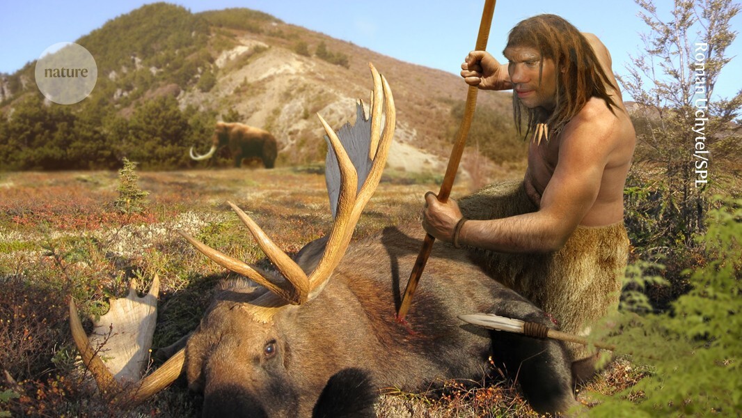 Mystery food in Neanderthal diet might be maggots