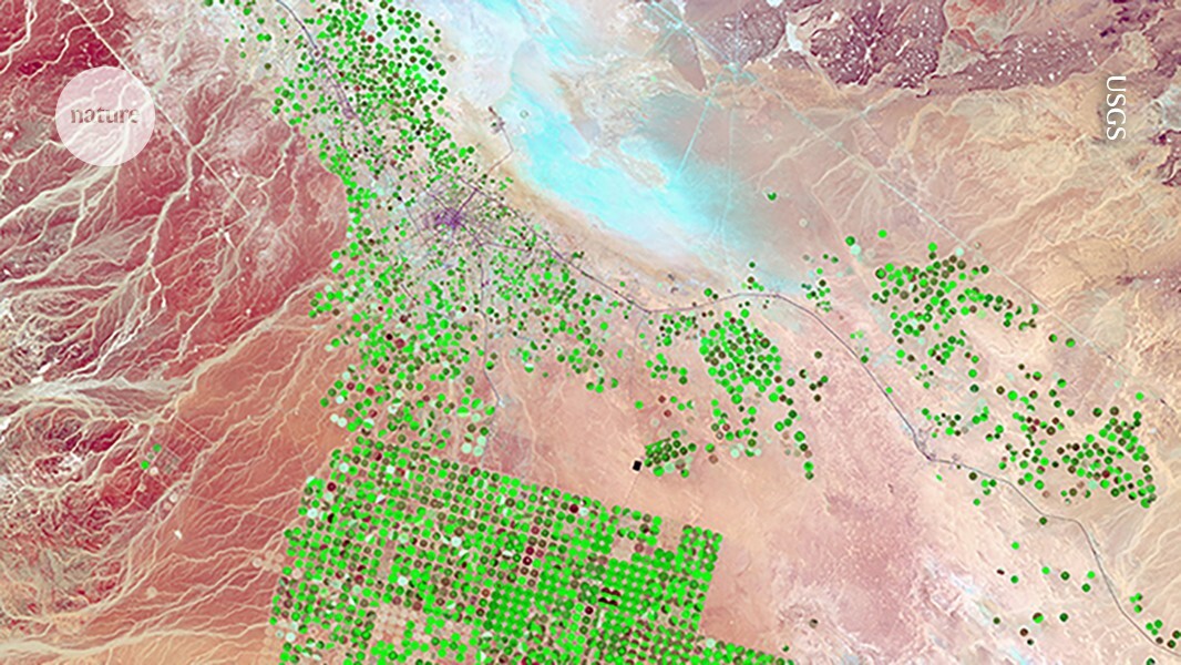 Google AI model mines trillions of images to create maps of Earth 'at any place and time'