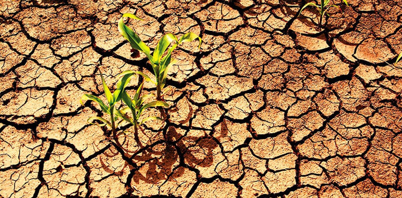 Drought can make farmers feel worried and hopeless: Ghana study finds social networks help