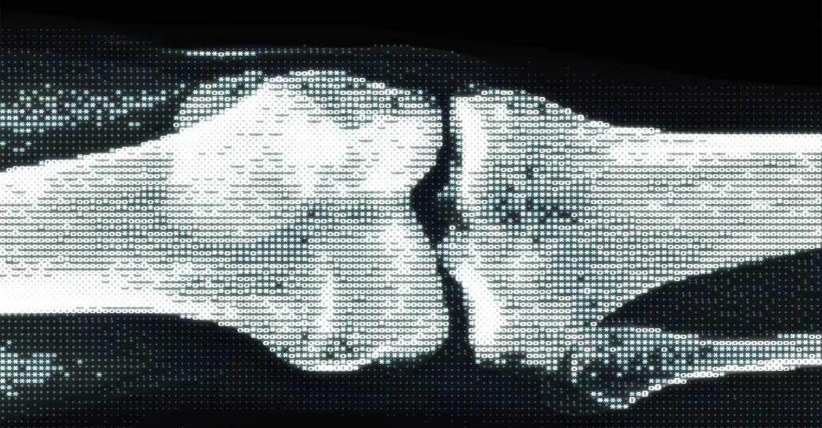 The Trump Administration Will Automate Health Inequities