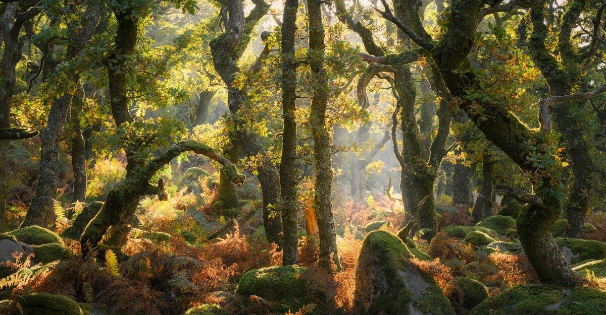 Winners of the 2025 Natural Landscape Photography Awards