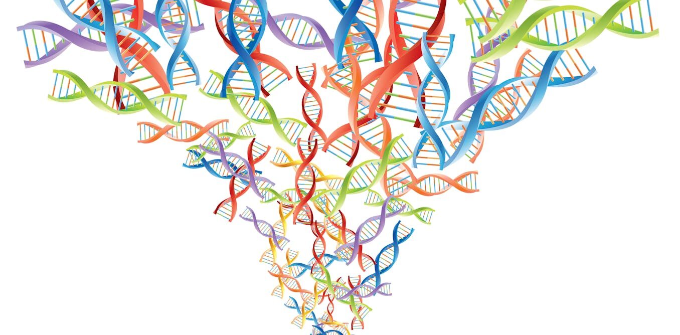 1 gene, 1 disease no more ' acknowledging the full complexity of genetics could improve and personalize medicine