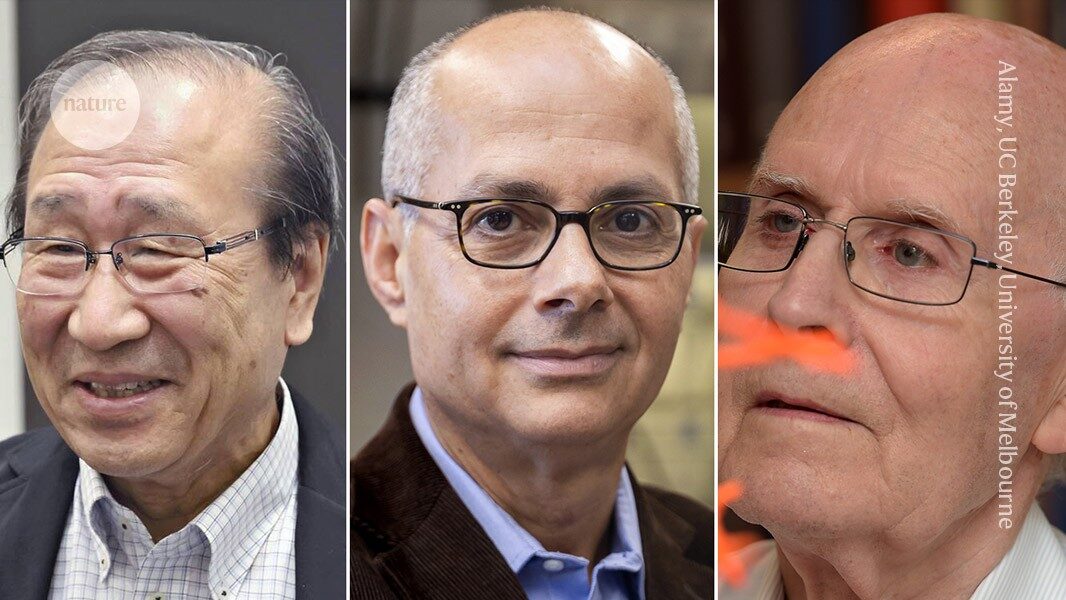 Chemistry Nobel for scientists who developed massively porous 'super sponge' materials