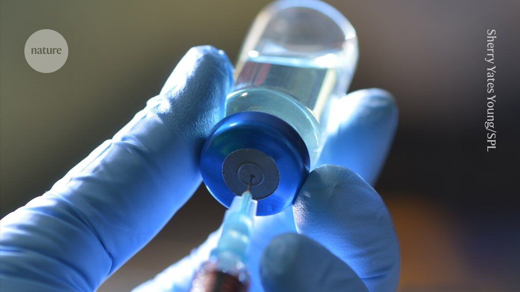 Experimental vaccine prevents deadly allergic reactions in mice