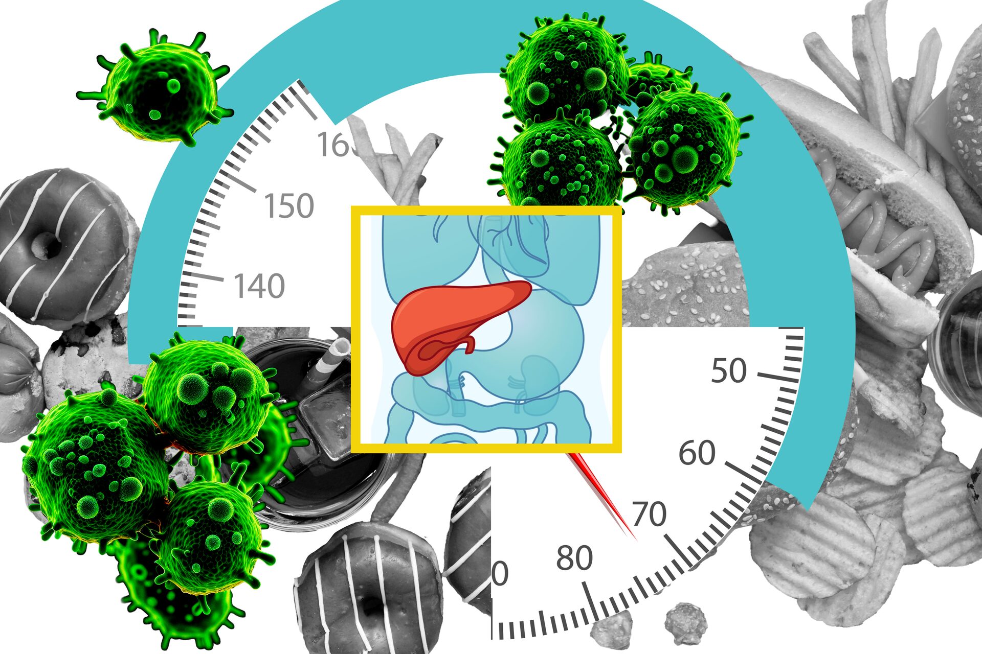Study: High-fat diets make liver cells more likely to become cancerous