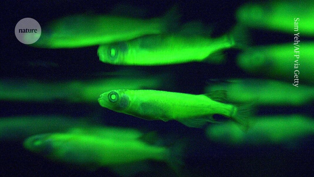 'Remote controlled' proteins illuminate living cells