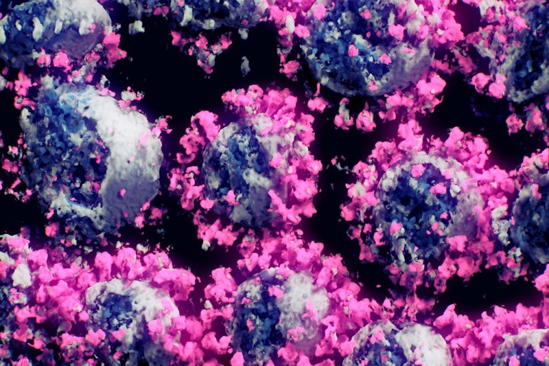 Coronavirus in 3D, mutation origins and India invests in virology