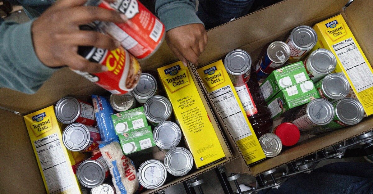 A Hidden Lesson of the Minnesota Welfare Scandal