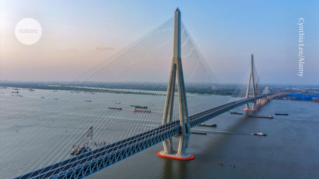 First 'practical PhDs' awarded in China ' for products rather than papers