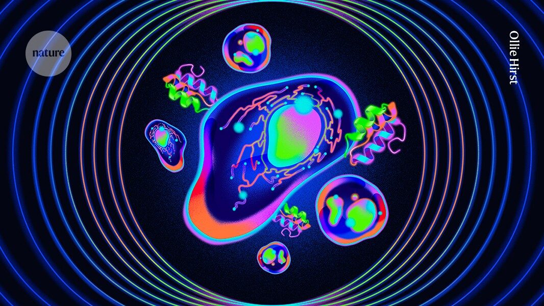 Why 'quantum proteins' could be the next big thing in biology