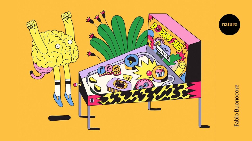 Dopamine takes a hit: how neuroscience is rethinking the 'feel-good' chemical