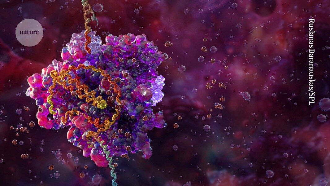 CRISPR makes enhanced cancer-fighting immune cells inside mice