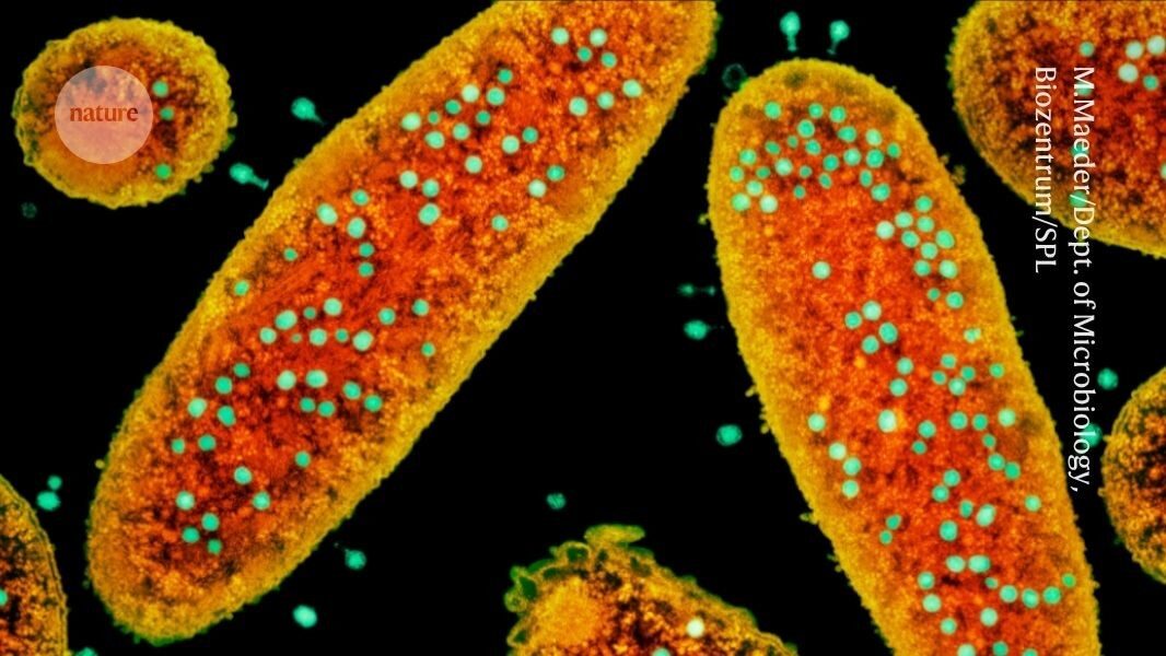 'Treasure trove' of antiviral proteins could inspire powerful molecular tools