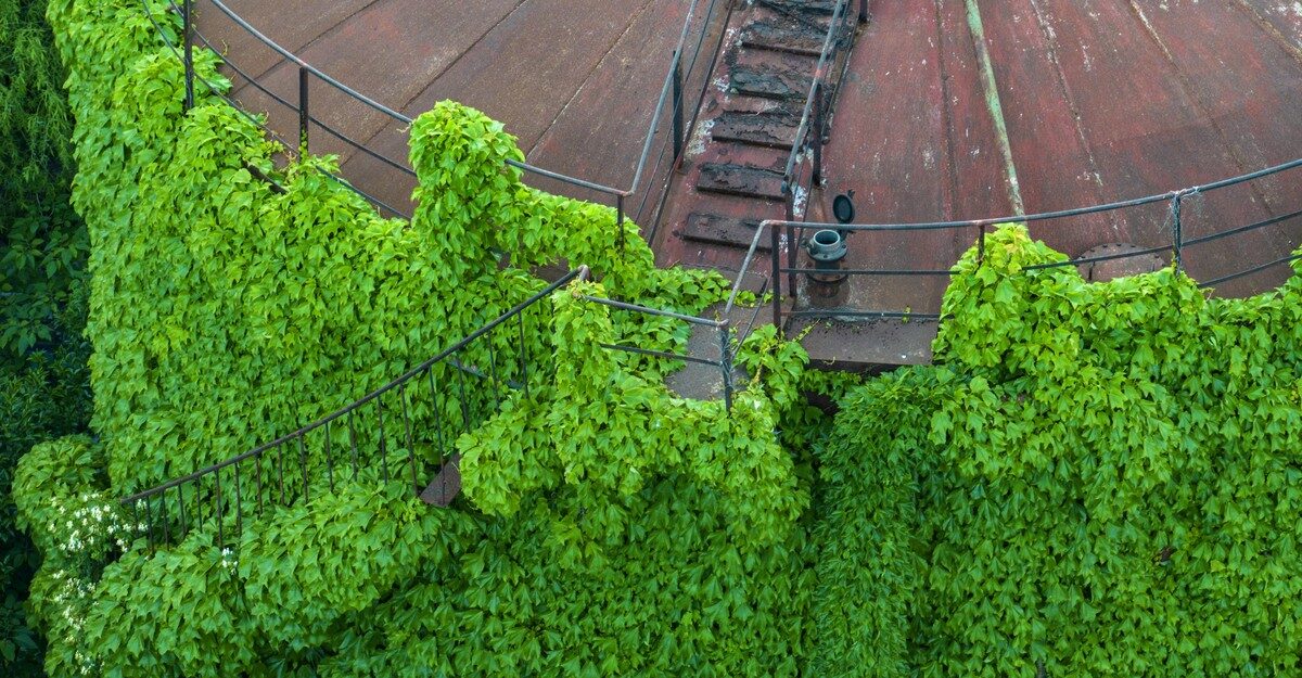 Photos: Reclaimed by Nature