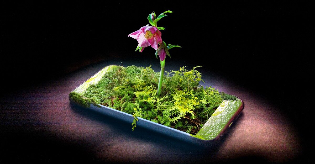 The Flip-Phone Cleanse