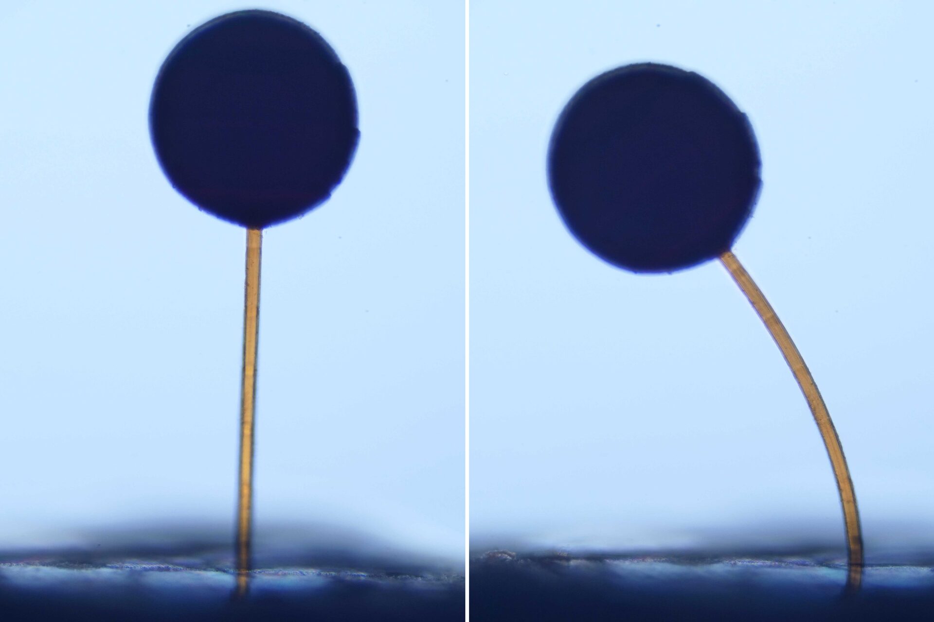 With a swipe of a magnet, microscopic 'magno-bots' perform complex maneuvers