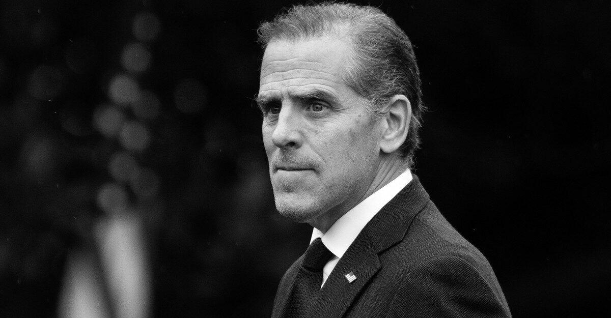 Hunter Biden's Life After Shame