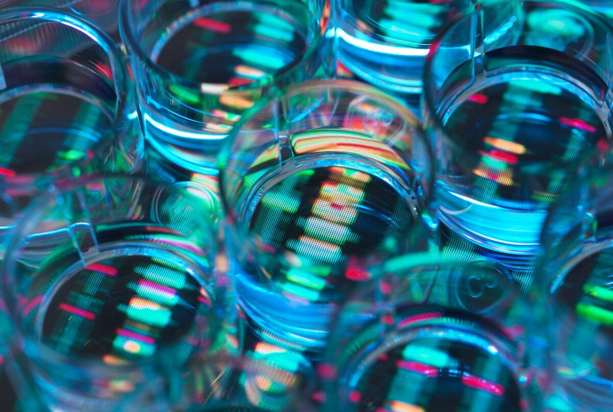 OpenAI researcher Miles Wang in talks to launch AI drug discovery startup valued at $2B | TechCrunch