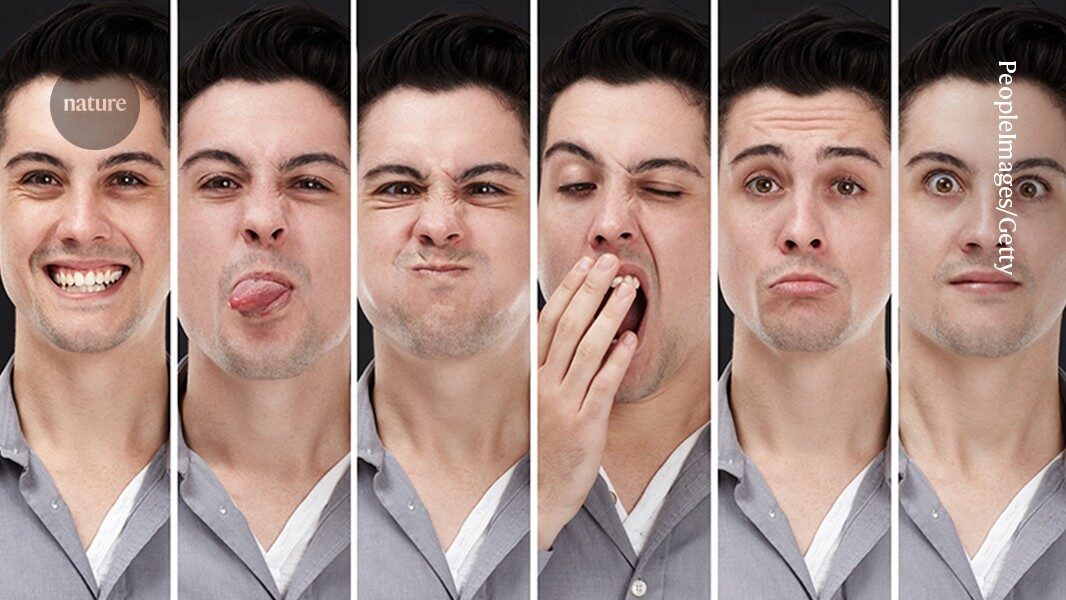 Anxious or outgoing' Huge study links 'Big Five' personality traits to genetic variants