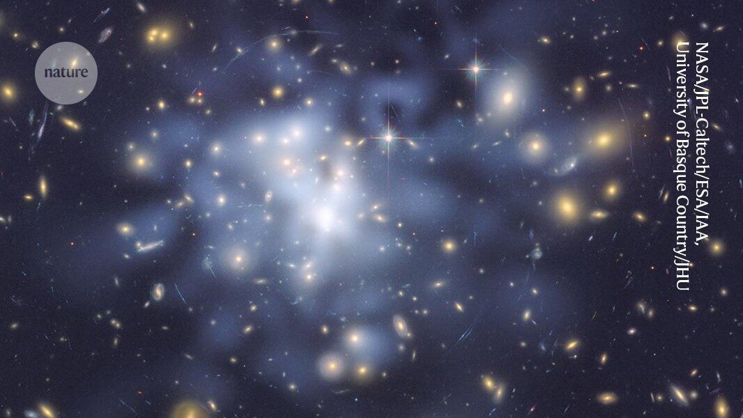 Is this the first glimpse of dark matter' Data point excites physicists