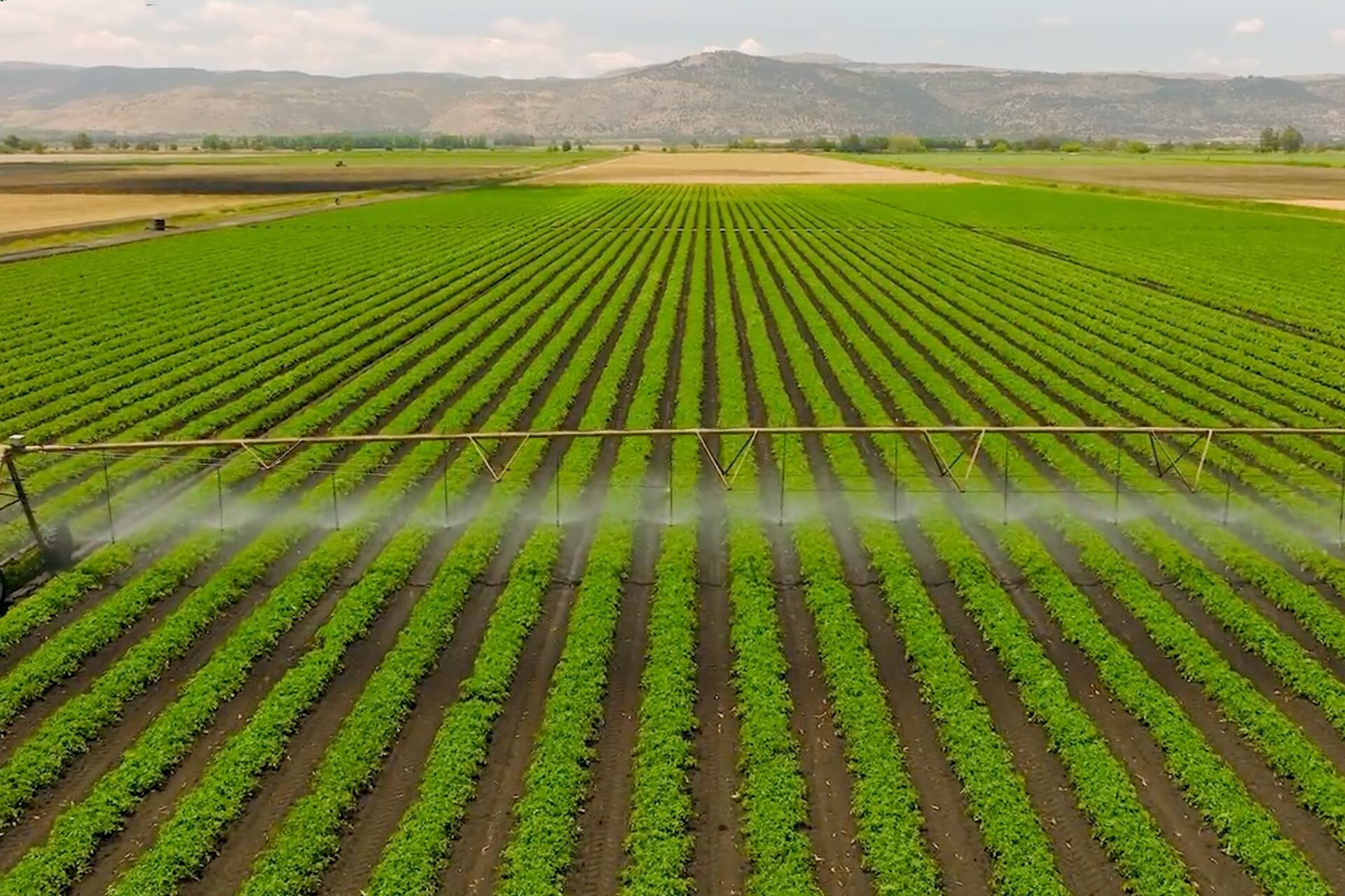 Giving farmers a more sustainable way to protect crops