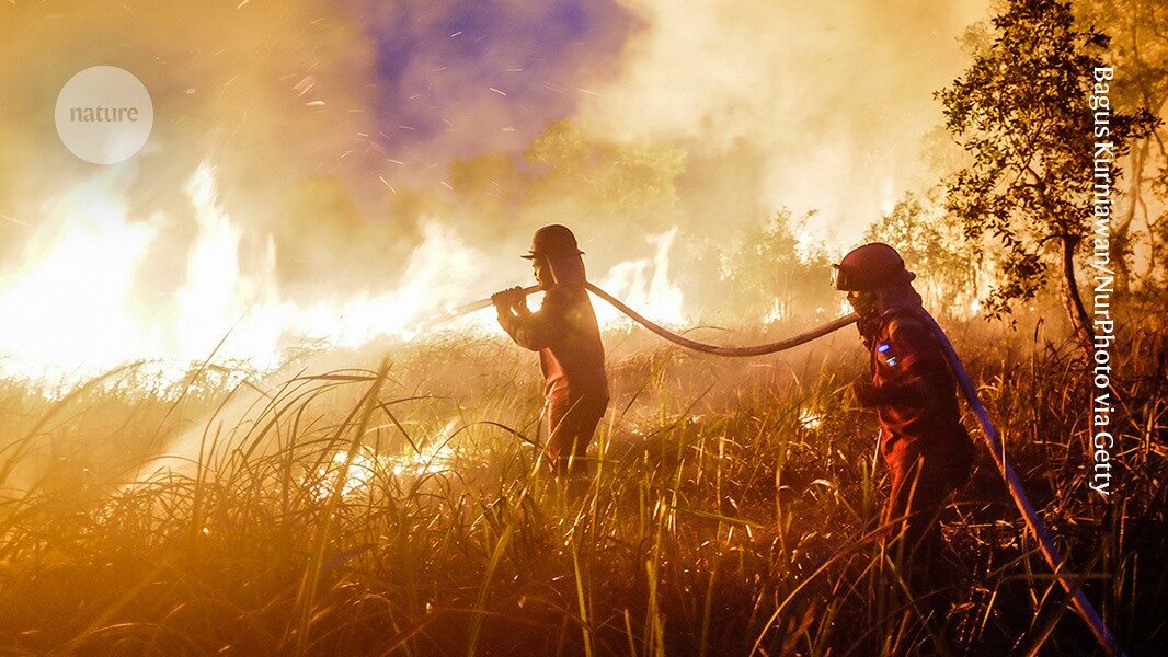 The super El Nino is already wreaking havoc: here's what's in store
