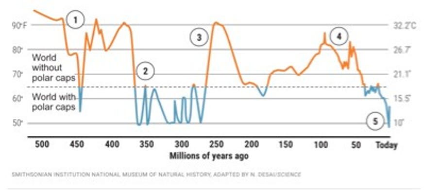 Global Warming, Carbon Taxes, and Public Choice