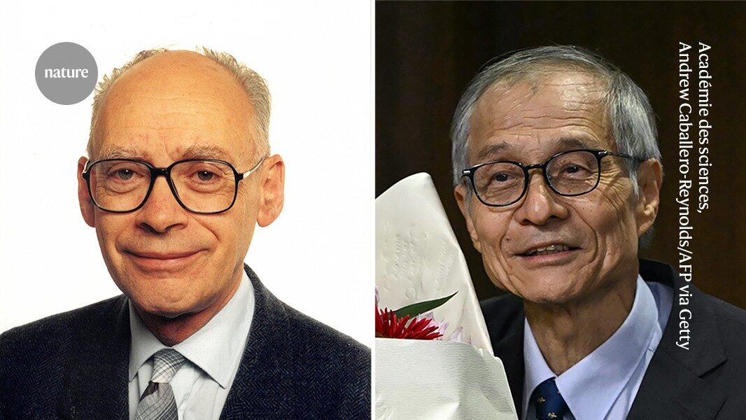 Chemistry Nobel awarded for solving mystery of how 'handed' organic molecules can emerge