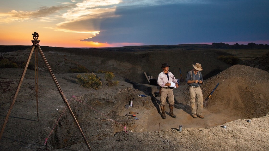 Why I love dinosaurs