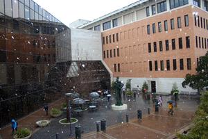 UT Austin - McCombs School of Business