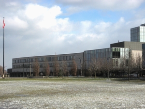York University: Schulich