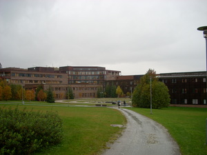 University of Tromsø