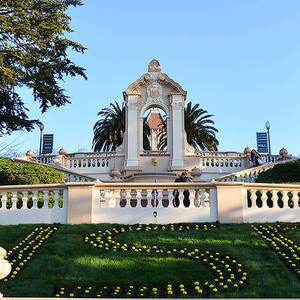 USF - School of Management