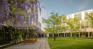 York -  Schulich School of Business