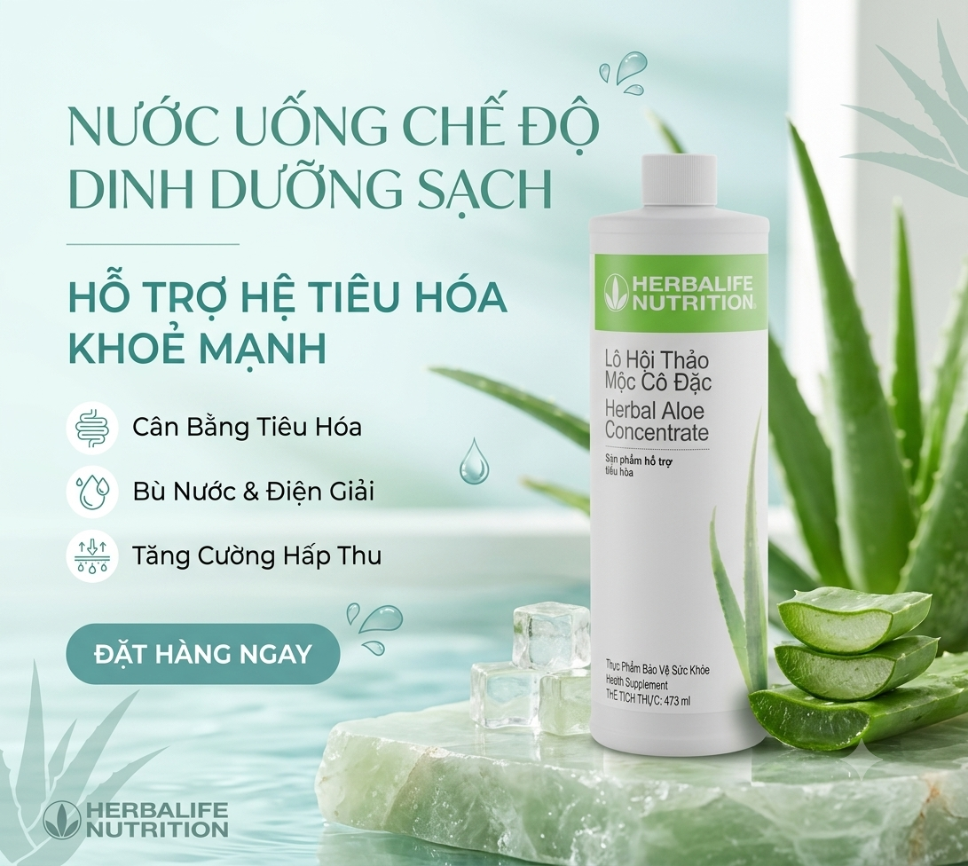 Lô Hội Thảo Mộc Cô Đặc (473ml) (Truyền Thống) lo hoi truyen thong wed2