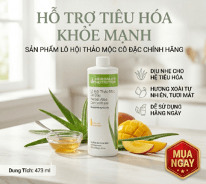 lo hoi xoai wed 2 1