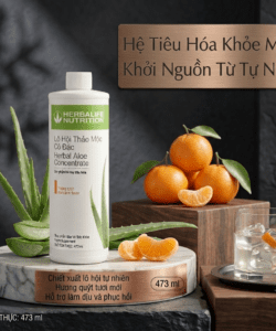 Lô Hội Thảo Mộc Cô Đặc (473ml) (Quýt) lohoi quyt wed3