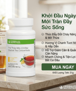 tra thao moc chanh wed3 1
