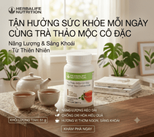 Trà Thảo Mộc Cô Đặc (51g) (Truyền Thống) tra thao moc tt wed 2