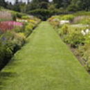 Specialist growers of Turf for Landscape and Sport