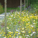 Lindum Wildflower Mats