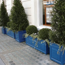 Sloane Troughs