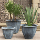 Norman Planter