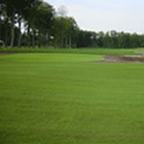 Seeding & Turfing 