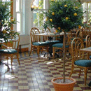 Hotels & Leisure by The Silk Forest