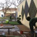 Landscaping by Ruskins