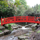 Japanese Bridges by Coulsons Bridges