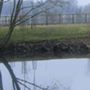 Silt Pumping – An alternative to Silt Dredging