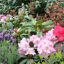 Planting Services by The Plantation